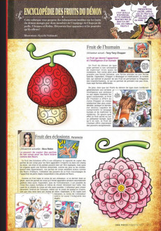 Extrait de One Piece -MAG07- One Piece Magazine 7