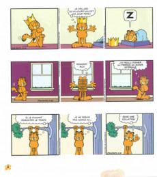 Extrait de Garfield (Presses Aventure - carrés) -74- Album Garfield #74
