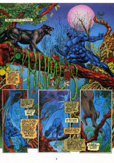 Extrait de Black Panther Panther's Prey (1991) -1- Issue #1