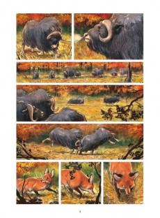 Extrait de Love (Bertolucci) -2a2021- Le Renard