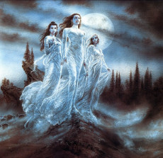 Extrait de (AUT) Royo, Luis (en anglais) - Evolution