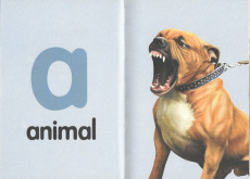 Extrait de ABC pour adultes