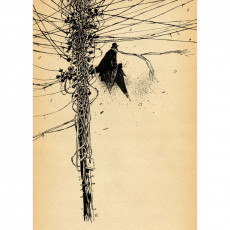 Extrait de (AUT) Wood, Ashley - AWD XL Black