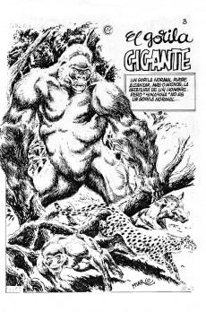 Extrait de Kalar (en espagnol - 1980 - Producciones editoriales S.A) -39- El gorila salvaje