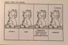 Extrait de Garfield (1980) -22- Garfield by the pound