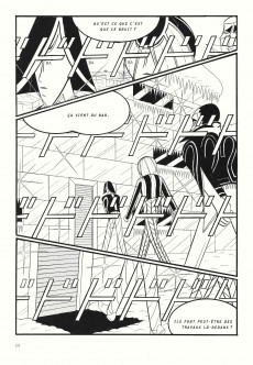 Extrait de La terre de glace