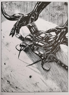 Extrait de (AUT) Bräo - Cornücópia