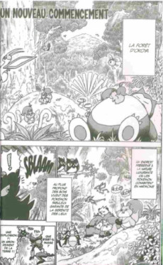 Extrait de Pokémon, le film - Les secrets de la jungle : les origines de Koko