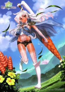 Extrait de Flower Knight Girl - Character Collection