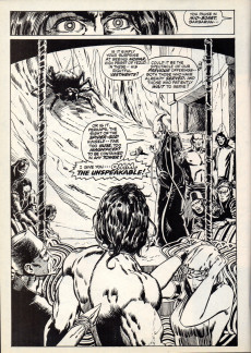 Extrait de Conan Saga (1987) -5- Issue #5