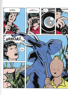 Extrait de Tintin - Pastiches, parodies & pirates - Rêves d'Aventures