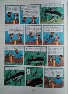 Extrait de Tintin (en langues étrangères) -12Japonais- Le trésor de Rackham le Rouge
