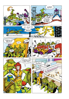 Extrait de Teenage Mutant Ninja Turtles : Tortues Ninja, Les Chevaliers d'écaille
