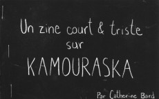 Extrait de Un zine court & triste sur Kamouraska