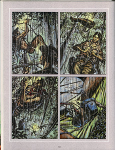 Extrait de La croisière verte - La Croisière Verte - Mission Radeau des Cimes, Guyane 89