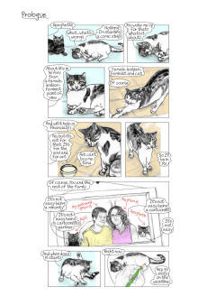 Extrait de Urban Tails -1- Urban tails