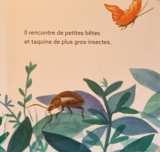 Extrait de Petit Chat