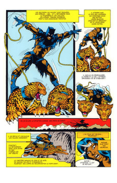 Extrait de Black Panther (L'intégrale) -1- 1966-1975