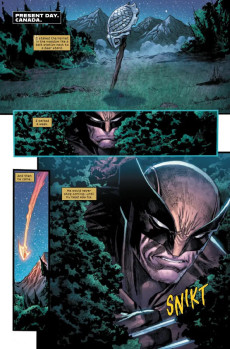 Extrait de Predator versus Wolverine (2023) -4- Issue #4