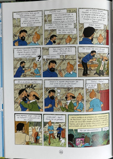 Extrait de Tintin (As Aventuras de)  -23- Tintin e os Pícaros