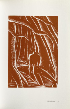 Extrait de Graphic Witness (en anglais) - Graphic Witness : Four Wordless Graphic Novels