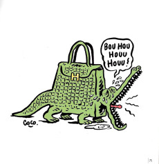 Extrait de Les iconovores -1- Coco