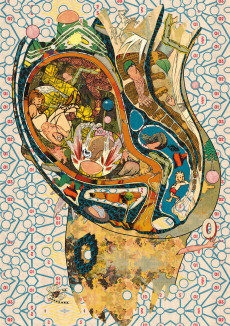 Extrait de Anatomie Narrative