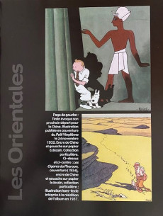 Extrait de Tintin - Divers -2003a2005- Tintin, reporter du siècle