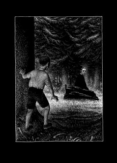 Extrait de Coleção 25 Imagens -1- A Floresta