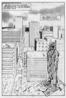 Extrait de Tales of the Teenage Mutant Ninja Turtles (1987) -5- Issue #5