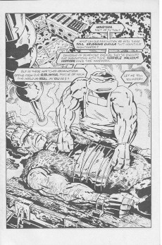 Extrait de Tales of the Teenage Mutant Ninja Turtles (1987) -4- Issue #4
