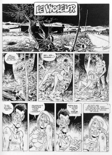 Extrait de Aux risques de l'amour -2- Tome 2