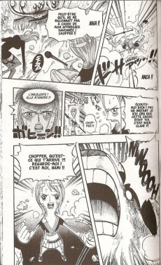 Extrait de One Piece -43- La légende du héros