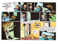Extrait de Calvin and Hobbes (1987) -9- Homicidal psycho jungle cat