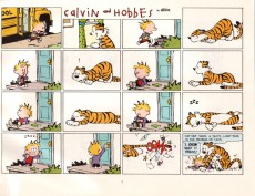 Extrait de Calvin and Hobbes (1987) -11- It's a magical world