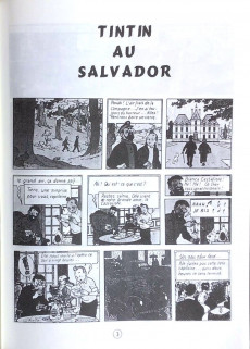 Extrait de Tintin - Pastiches, parodies & pirates -1983- Tintin au Salvador