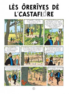 Extrait de Tintin (en langues régionales) -21Wallon nam- Lès ôrerîyes dè l'Castafiore