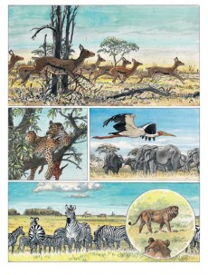 Extrait de Afrika (Hermann) - Afrika