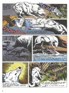 Extrait de Ayak le loup blanc -3- Ruée sur le Yukon