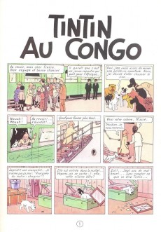 Extrait de Tintin -2- Tintin au Congo