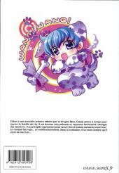 Verso de Les ailes du phénix -9- Tome 9