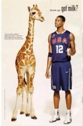 Verso de Batwoman (2011) -3- Hydrology part 3 : gaining stream