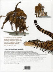 Verso de Tigre -HS- Tigre - Panthera Tigris
