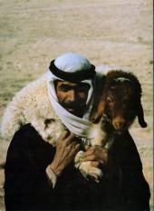 Verso de Les sectes, l'occulte et l'etrange -10- Le mystère de jésus