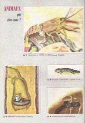 Verso de Rin Tin Tin & Rusty (1re série - Vedettes TV) -86- Smocky la pépite
