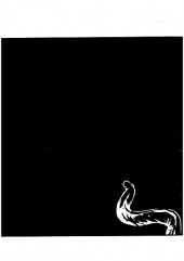 Verso de Anguille crue - Anguille Crue