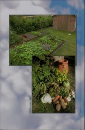 Verso de Variations culinaires -2- Variations culinaires - T2