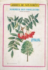 Verso de Rin Tin Tin & Rusty (2e série) -124- Rintintin vedette de cirque