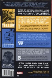 Verso de Jeph Loeb & Tim Sale: Yellow, Blue and Gray (2014) -INT- Jeph Loeb & Tim Sale: Yellow, Blue and Gray