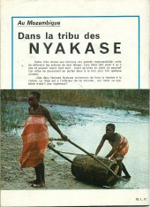 Verso de Mandrake (1re Série - Remparts) (Mondes Mystérieux - 1) -450- Les oiseaux mystérieux